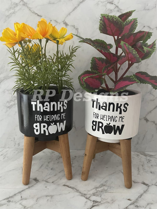Teacher Pot Plant - Thanks for helping me grow